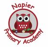 Napier Community Primary and Nursery Academy